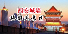 操鸡少妇中国陕西-西安城墙旅游风景区