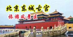 黑人巨根后入美女中国北京-东城古宫旅游风景区